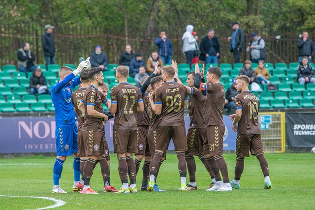 文森特状态火热！湖人击败灰熊.