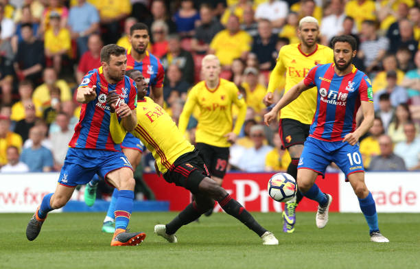 熊的比赛只 熊的比赛只